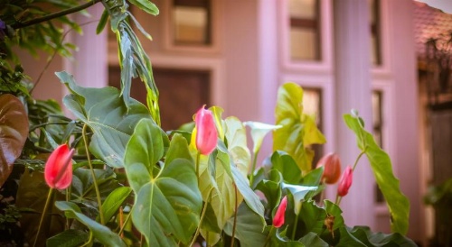 Zawadi House Lodge image 11