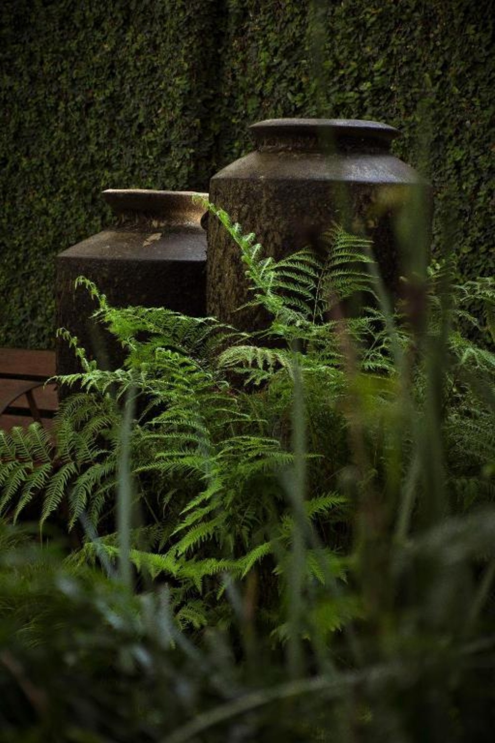 Zawadi House Lodge Image 18