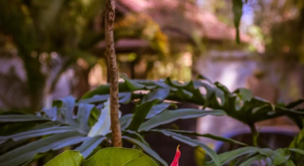Zawadi House Lodge Image 19