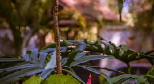 Zawadi House Lodge image 19