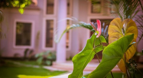 Zawadi House Lodge image 20